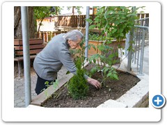 Gartenarbeit